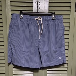 Men's Blue Striped Swim Shorts